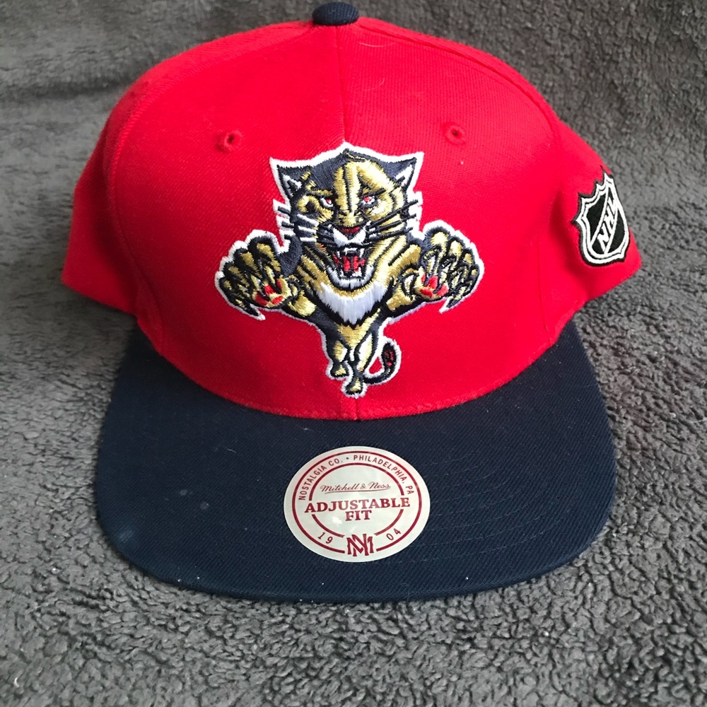 Florida panthers SnapBack